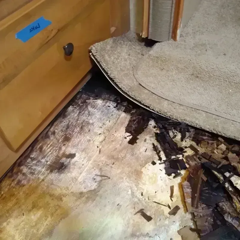 Wood Floor Water Damage in Eastwood, LA